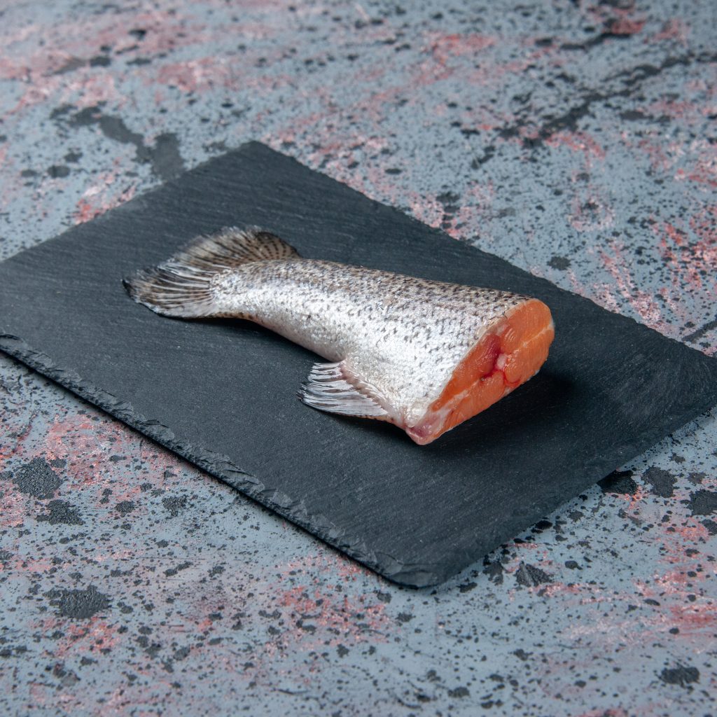 trancio di salmone